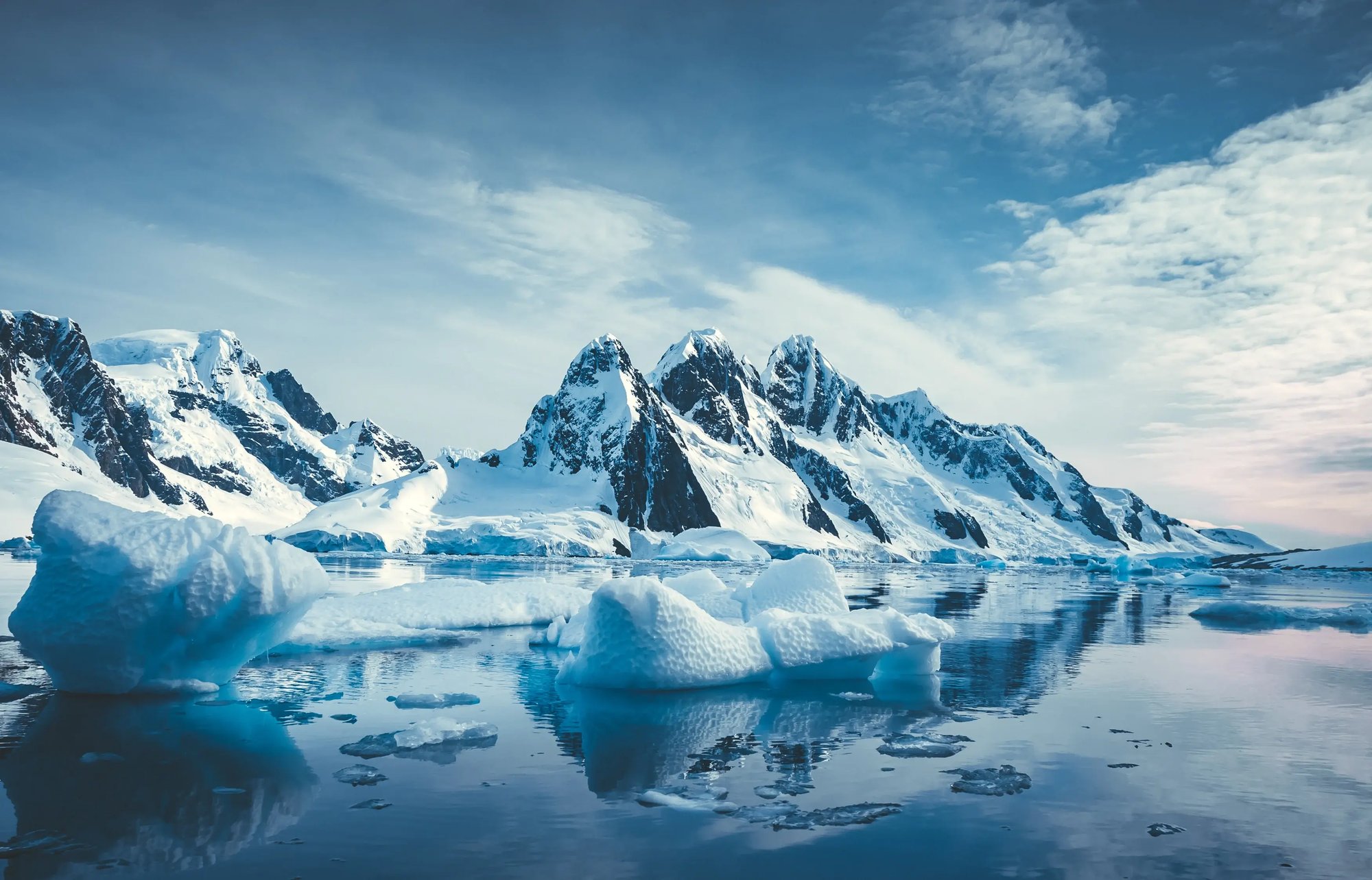 antartica
