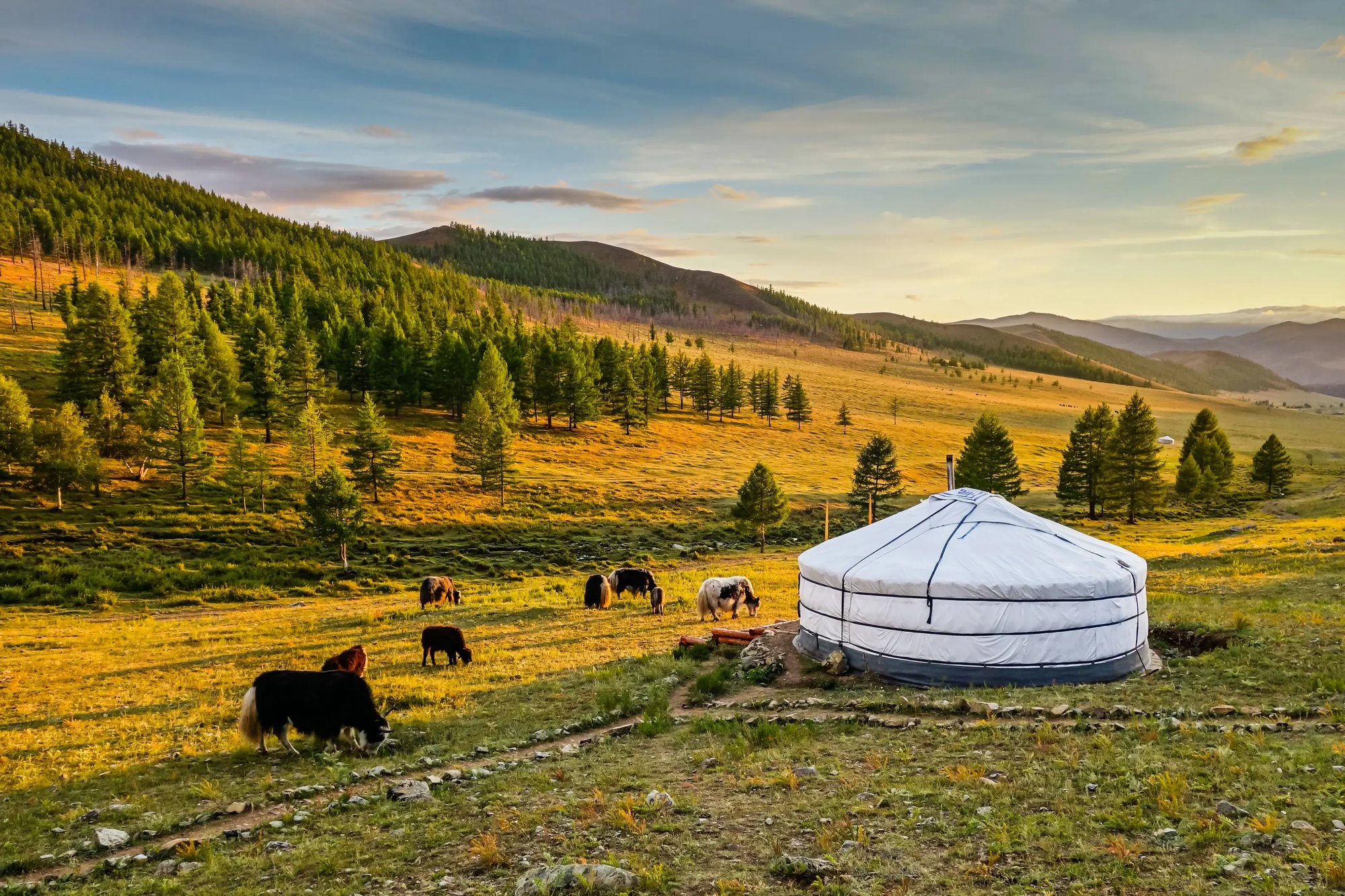 mongolia