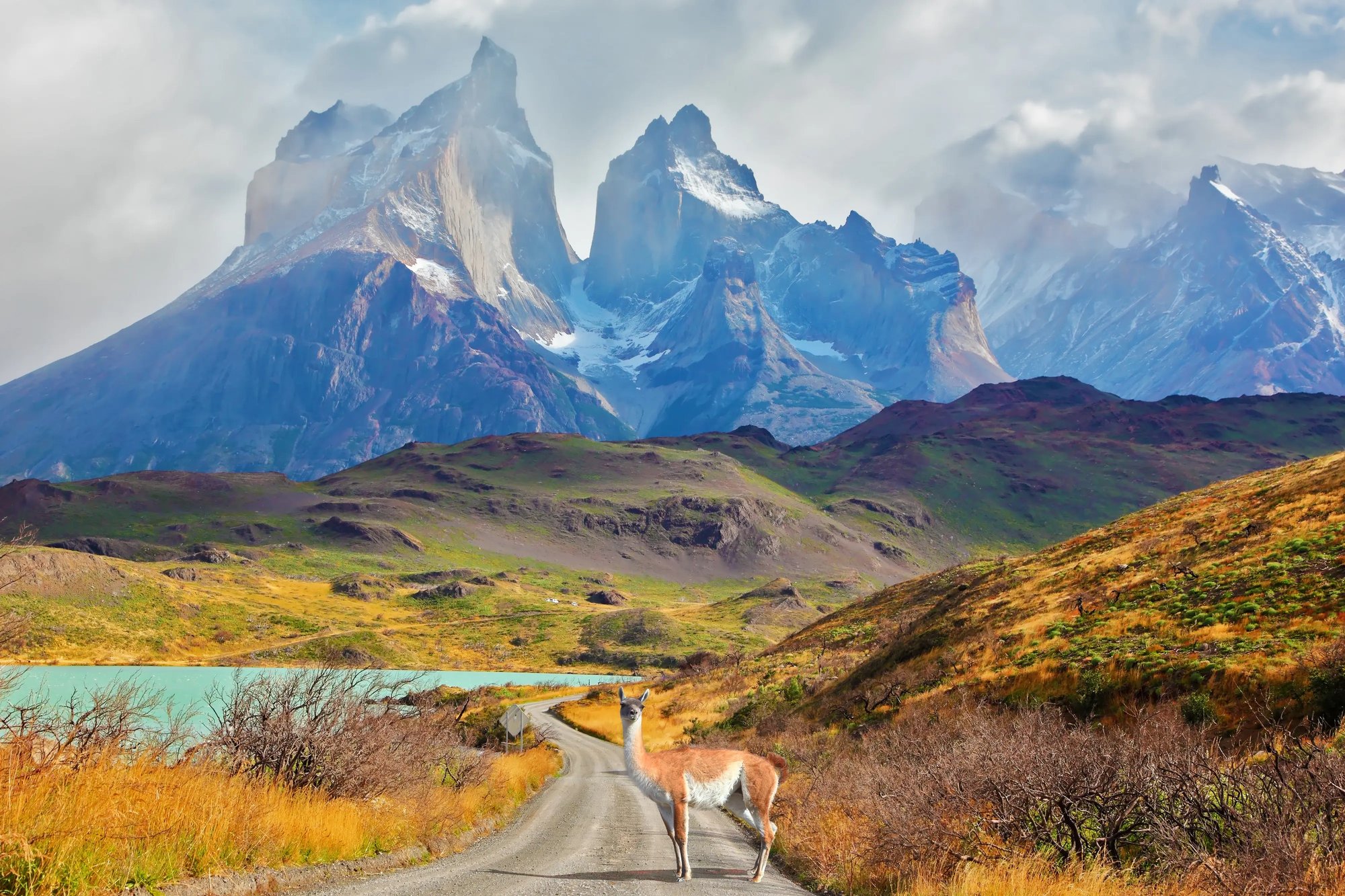 patagonia